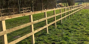Equestrian Fencing